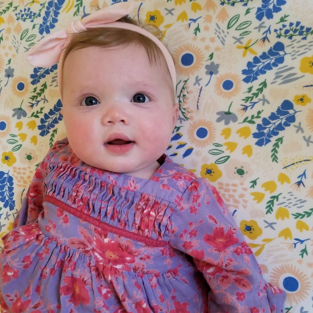 Meet your Posher, Dawn